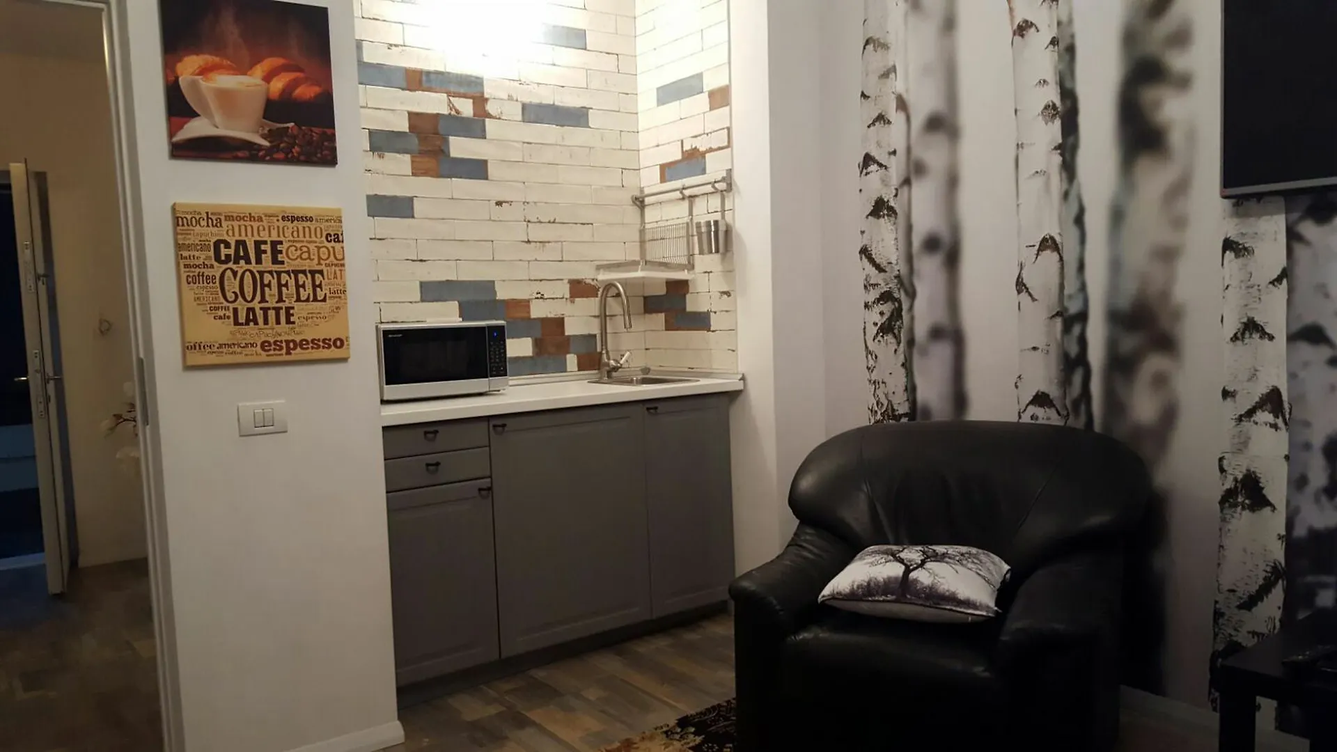 Eftimiu Luxury Apartment 布加勒斯特 罗马尼亚